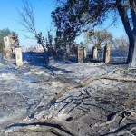 Рятувальники Миколаївщини ліквідували дві масштабні пожежі в екосистемах